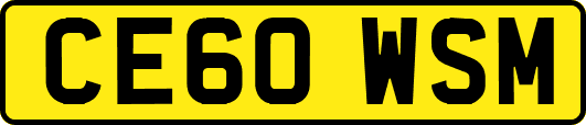 CE60WSM