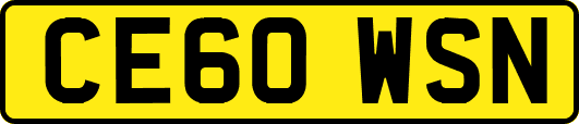 CE60WSN