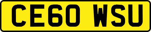 CE60WSU