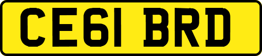 CE61BRD