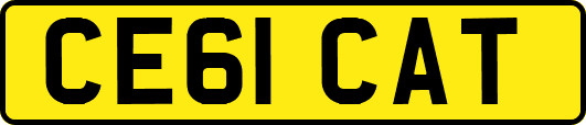 CE61CAT