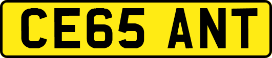 CE65ANT