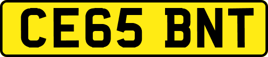 CE65BNT