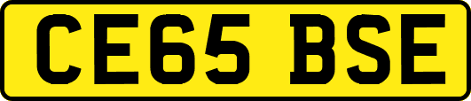 CE65BSE