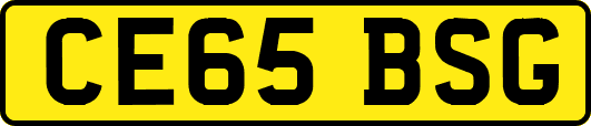 CE65BSG