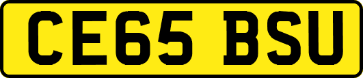 CE65BSU