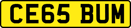 CE65BUM