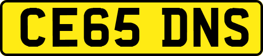 CE65DNS
