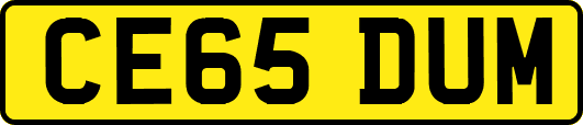 CE65DUM