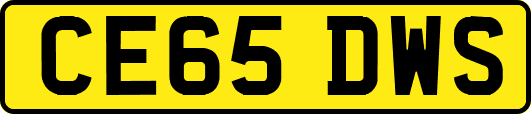 CE65DWS