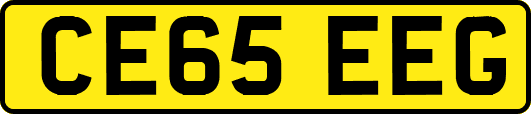 CE65EEG