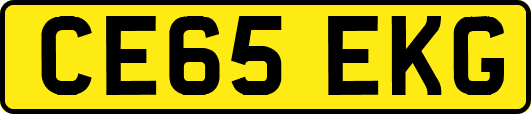 CE65EKG