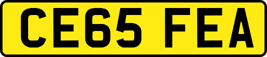 CE65FEA