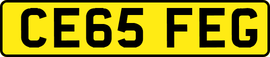 CE65FEG