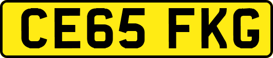 CE65FKG