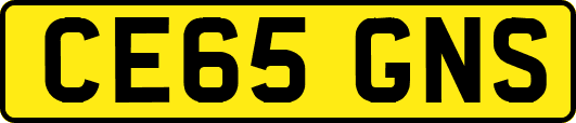 CE65GNS