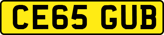 CE65GUB
