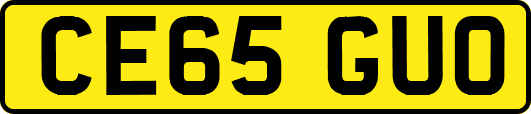 CE65GUO