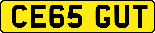 CE65GUT