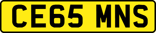 CE65MNS