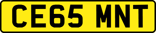 CE65MNT