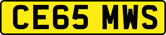 CE65MWS