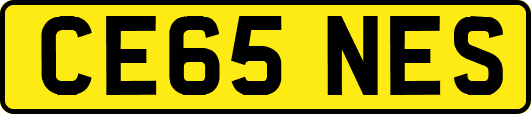 CE65NES