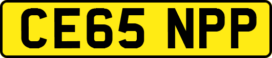 CE65NPP