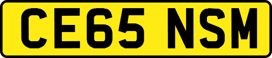 CE65NSM