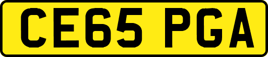 CE65PGA