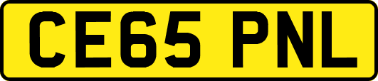 CE65PNL