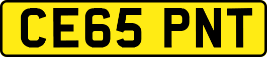 CE65PNT
