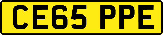 CE65PPE