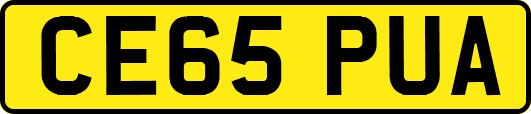 CE65PUA