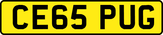 CE65PUG