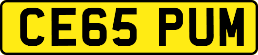 CE65PUM