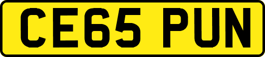 CE65PUN