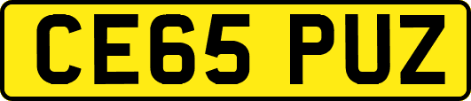 CE65PUZ