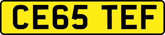 CE65TEF