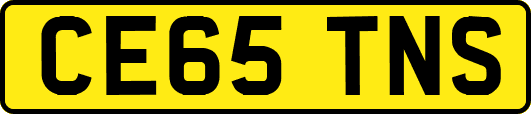 CE65TNS