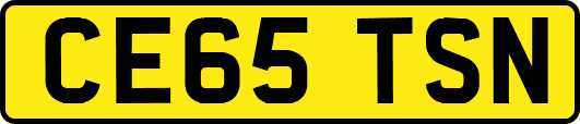 CE65TSN