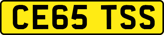 CE65TSS