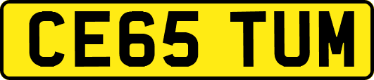 CE65TUM