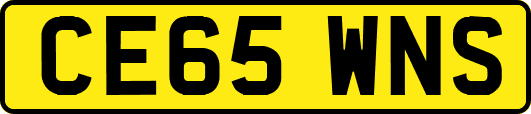 CE65WNS