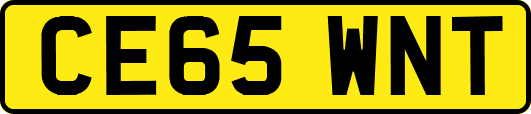 CE65WNT