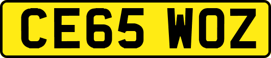 CE65WOZ