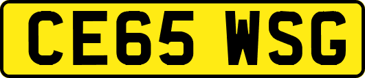CE65WSG