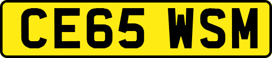 CE65WSM