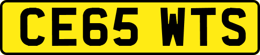 CE65WTS
