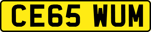 CE65WUM